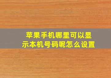 苹果手机哪里可以显示本机号码呢怎么设置