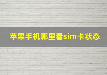 苹果手机哪里看sim卡状态