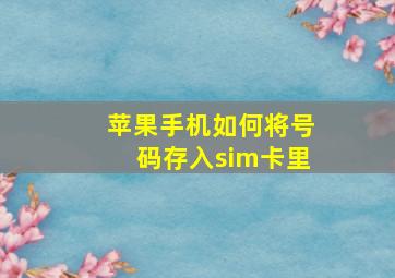 苹果手机如何将号码存入sim卡里