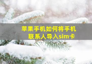 苹果手机如何将手机联系人导入sim卡