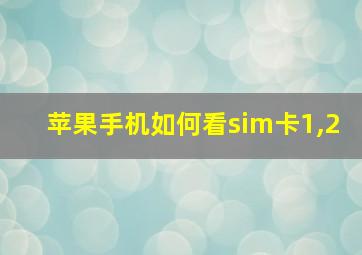 苹果手机如何看sim卡1,2