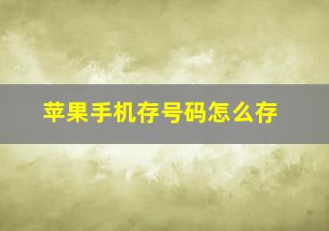 苹果手机存号码怎么存