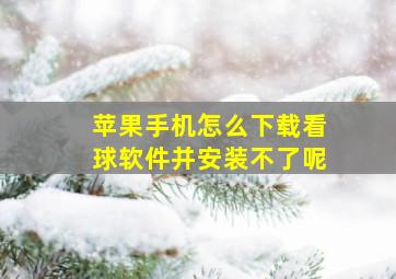 苹果手机怎么下载看球软件并安装不了呢