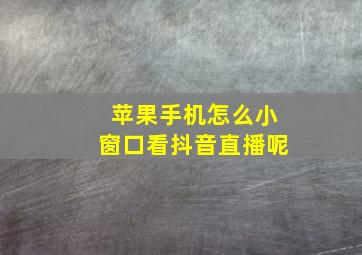 苹果手机怎么小窗口看抖音直播呢