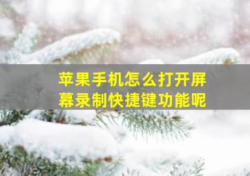 苹果手机怎么打开屏幕录制快捷键功能呢