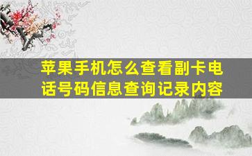 苹果手机怎么查看副卡电话号码信息查询记录内容