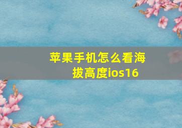 苹果手机怎么看海拔高度ios16