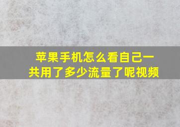 苹果手机怎么看自己一共用了多少流量了呢视频