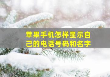 苹果手机怎样显示自己的电话号码和名字