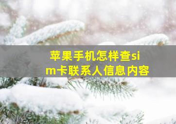 苹果手机怎样查sim卡联系人信息内容