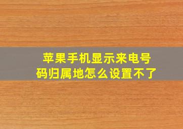 苹果手机显示来电号码归属地怎么设置不了