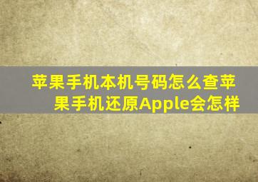 苹果手机本机号码怎么查苹果手机还原Apple会怎样