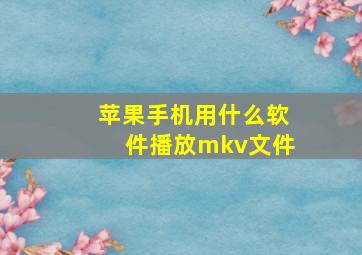 苹果手机用什么软件播放mkv文件