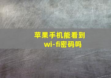 苹果手机能看到wi-fi密码吗