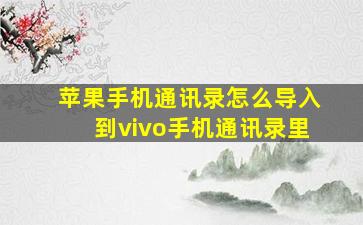 苹果手机通讯录怎么导入到vivo手机通讯录里