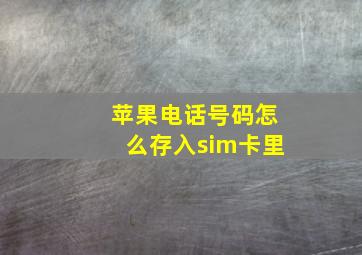 苹果电话号码怎么存入sim卡里