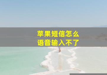 苹果短信怎么语音输入不了