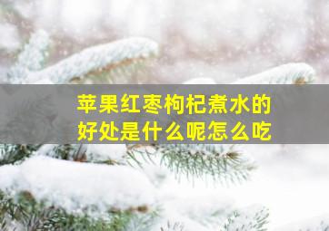 苹果红枣枸杞煮水的好处是什么呢怎么吃