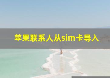 苹果联系人从sim卡导入