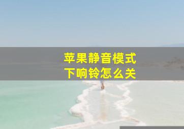 苹果静音模式下响铃怎么关