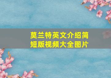 莫兰特英文介绍简短版视频大全图片