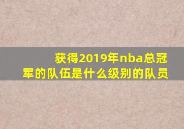 获得2019年nba总冠军的队伍是什么级别的队员