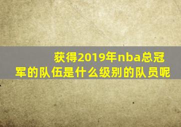 获得2019年nba总冠军的队伍是什么级别的队员呢