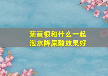 菊苣根和什么一起泡水降尿酸效果好