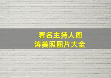 著名主持人周涛美照图片大全