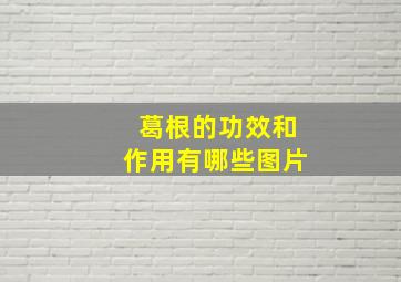 葛根的功效和作用有哪些图片