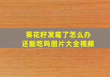 葵花籽发霉了怎么办还能吃吗图片大全视频