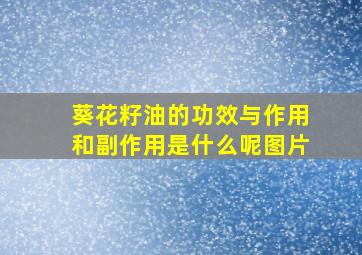 葵花籽油的功效与作用和副作用是什么呢图片