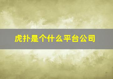 虎扑是个什么平台公司