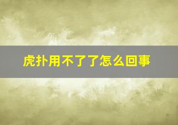 虎扑用不了了怎么回事