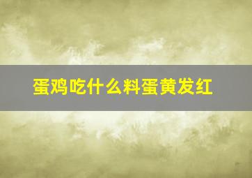 蛋鸡吃什么料蛋黄发红