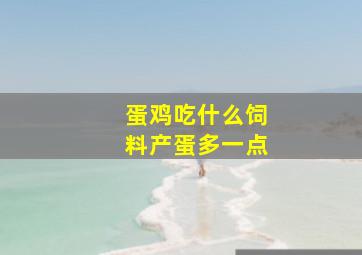 蛋鸡吃什么饲料产蛋多一点