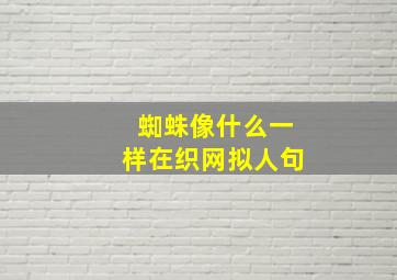 蜘蛛像什么一样在织网拟人句