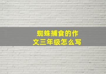 蜘蛛捕食的作文三年级怎么写