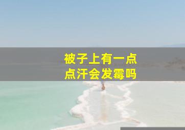 被子上有一点点汗会发霉吗