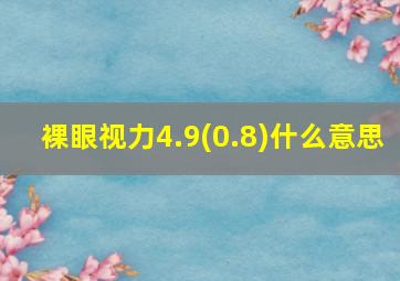 裸眼视力4.9(0.8)什么意思