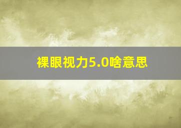 裸眼视力5.0啥意思