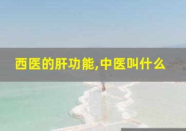 西医的肝功能,中医叫什么