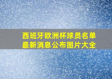 西班牙欧洲杯球员名单最新消息公布图片大全