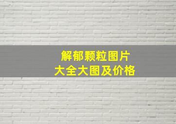 解郁颗粒图片大全大图及价格