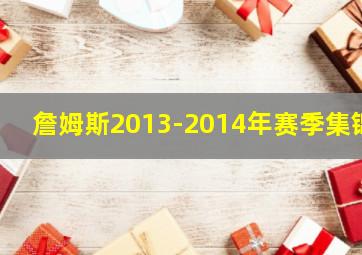 詹姆斯2013-2014年赛季集锦