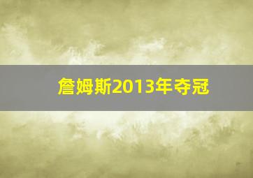 詹姆斯2013年夺冠