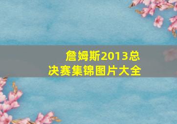 詹姆斯2013总决赛集锦图片大全