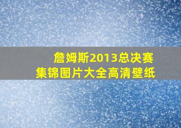 詹姆斯2013总决赛集锦图片大全高清壁纸