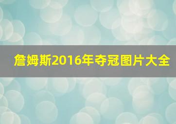 詹姆斯2016年夺冠图片大全