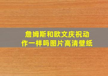 詹姆斯和欧文庆祝动作一样吗图片高清壁纸